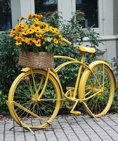 Цветочные велосипеды