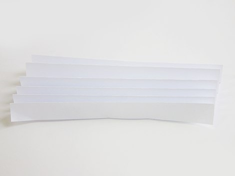 Лебединое озеро - бумажный туннель