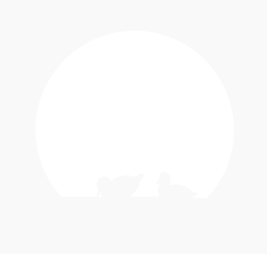 Лебединое озеро - бумажный туннель