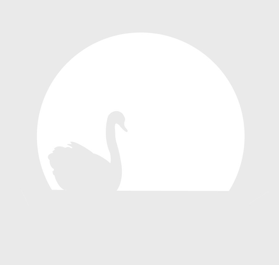 Лебединое озеро - бумажный туннель