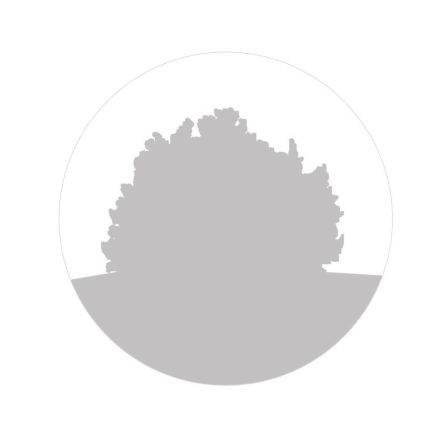 Лебединое озеро - бумажный туннель