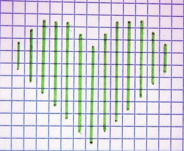 Вышивка гладью. Мастер-класс Вышивка гладью. Мастер-класс