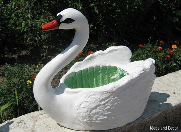 КАШПО Лебедь