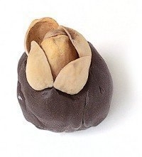 Из фисташковых скорлупок