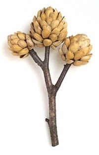 Из фисташковых скорлупок