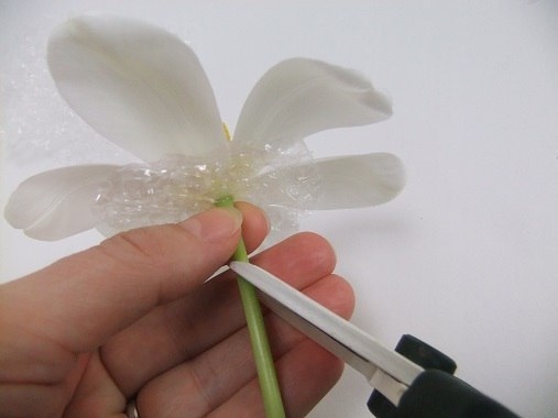 Плавающие цветы