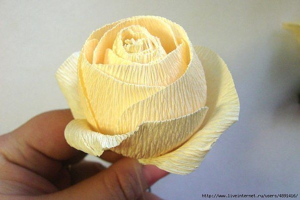 Английская роза из бумаги и конфет