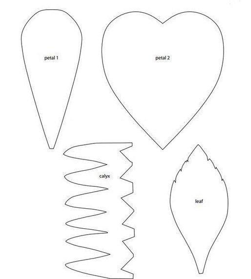 Гигантская роза