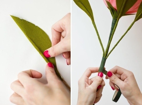 Гигантская роза