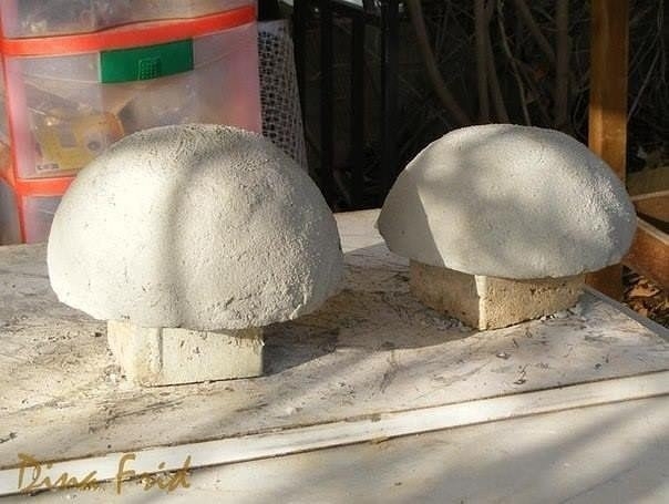 Божья коровка для дачи