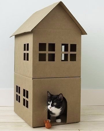 Любимый питомец оценит: мастерим из картонных коробок домик для котика.