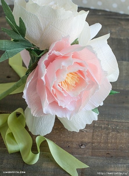 Пион из гофробумаги.  ШАБЛОНЫ лепестков и листьев