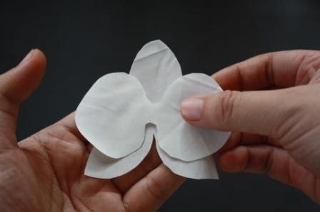 Самодельные орхидеи