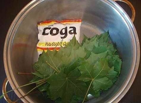 Скелетирование листьев