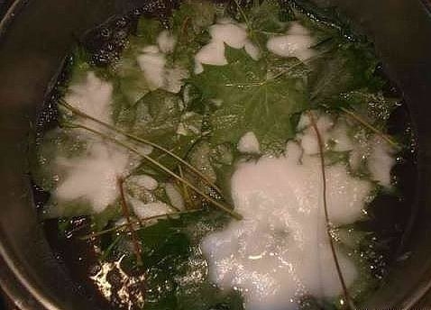 Скелетирование листьев