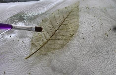 Скелетирование листьев