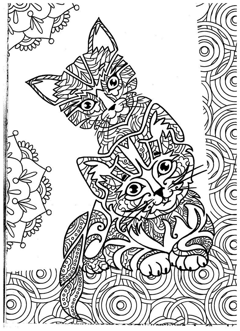 Раскраска Коты и волшебные миры