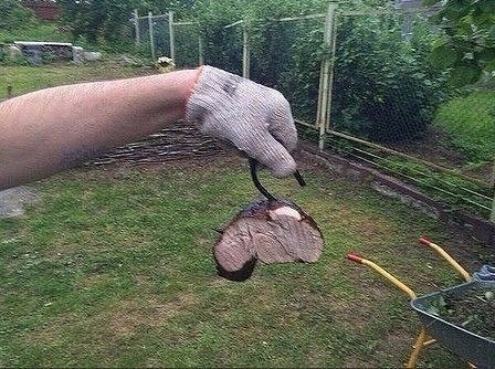 Самодельная коптильня своими руками