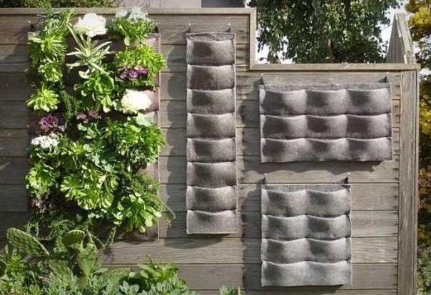 Огород на балконе