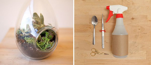 Флорариум своими руками