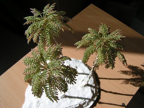 Пушистая пальма из бисера.