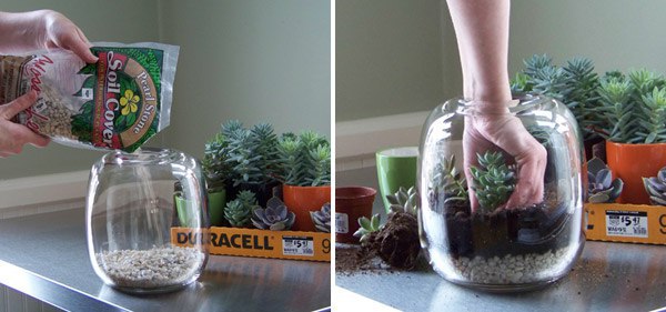 Флорариум своими руками