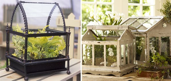 Флорариум своими руками