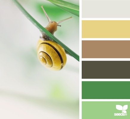 Сочетание цветов