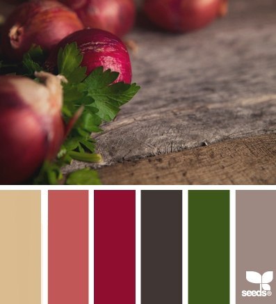 Сочетание цветов