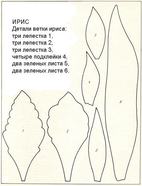 Шаблоны для изготовления цветов