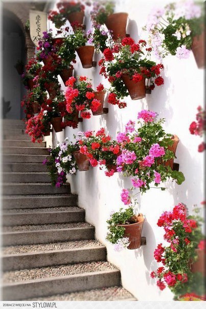 Идеи для дачи