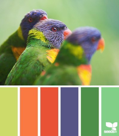 Сочетание цветов