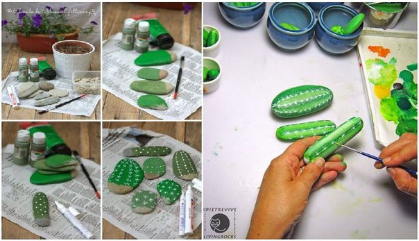 Кактусы из камней 