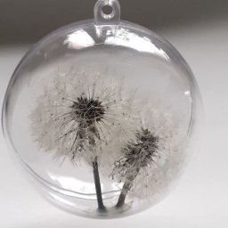 Одуванчиковое счастье