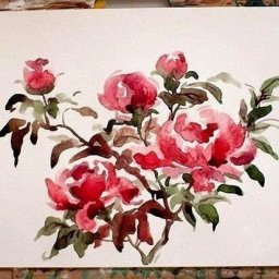 ​Рисуем пионы акварелью