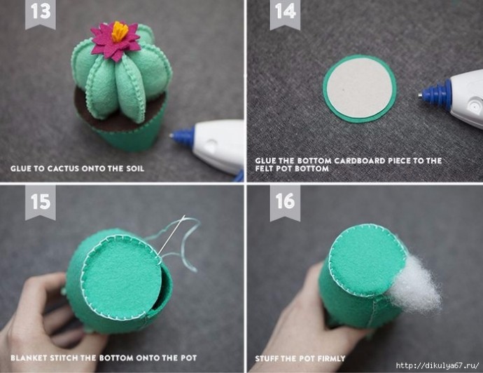 Игольница-кактус