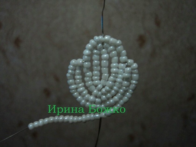 Белая орхидея