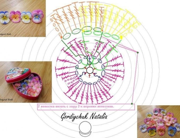 Разноцветные анютины глазки