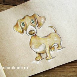 ​Рисуем таксу