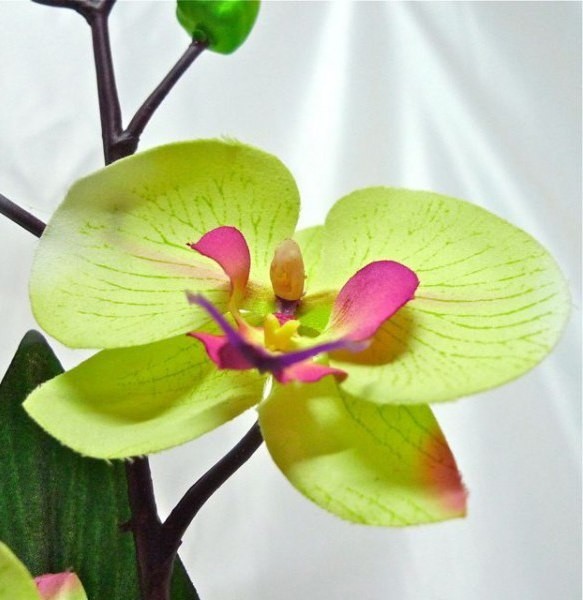 Шаблоны для изготовления цветов