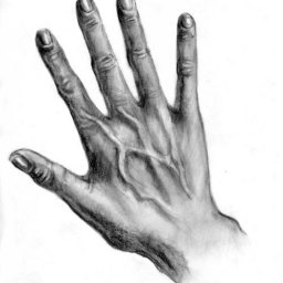 ​Мастер-класс по рисованию руки простым карандашом