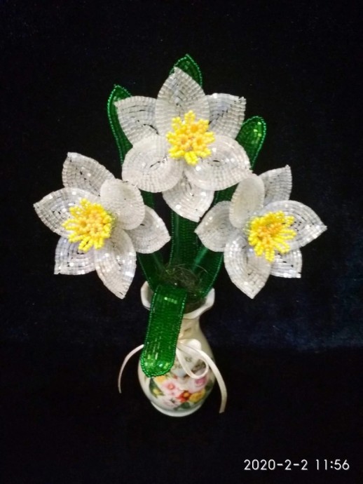 ​Нарциссы из рубки