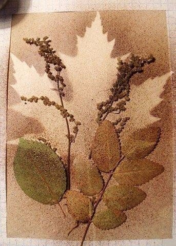 ​Необычная техника создания картин