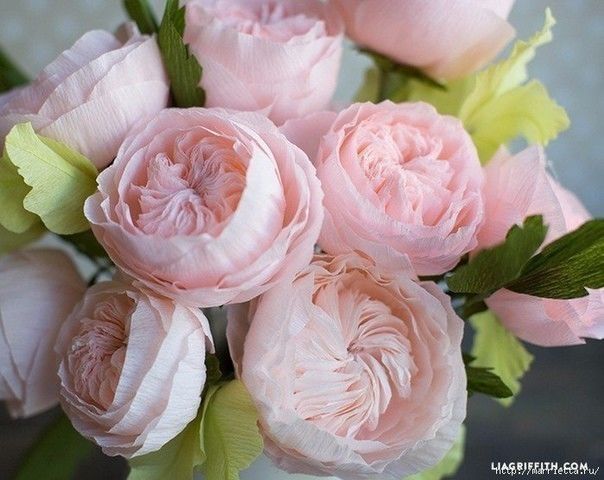 Розa из гофрированной бумаги