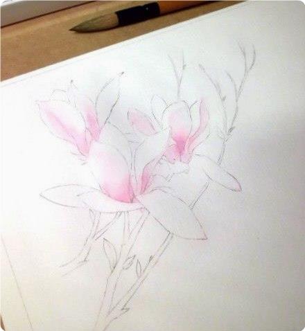 Пишeм цвeты aквapeлью