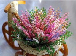 ​Разноцветный вереск