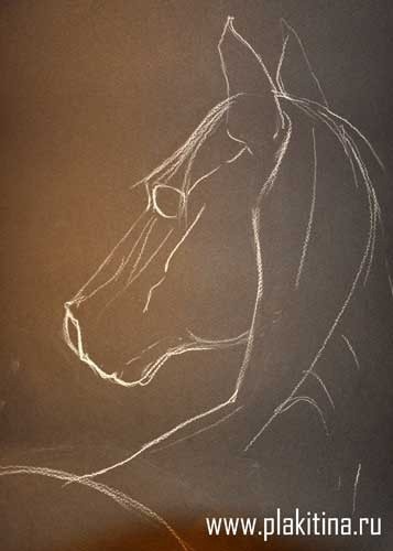 Рисуем белой пастелью черную лошадь