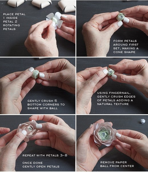 Цветы из бумаги: ранункулюсы