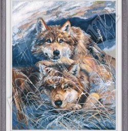 ​Любовь волков