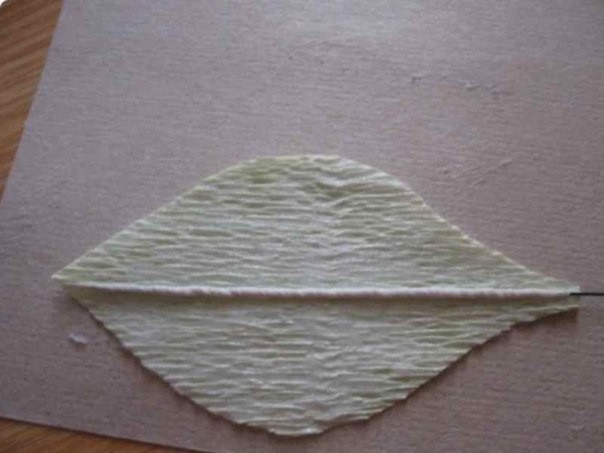 ​Роскошные цветы